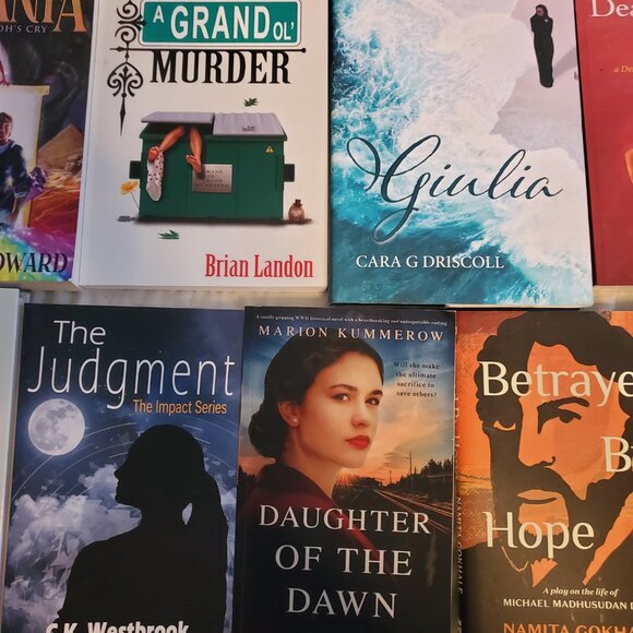 📚 Pick 5 Books – Your Choice $25 Bundle Deal lot fiction roman - Picture 11 of 11